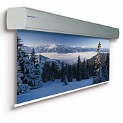 Projecta GiantScreen Electrol 438x700 см